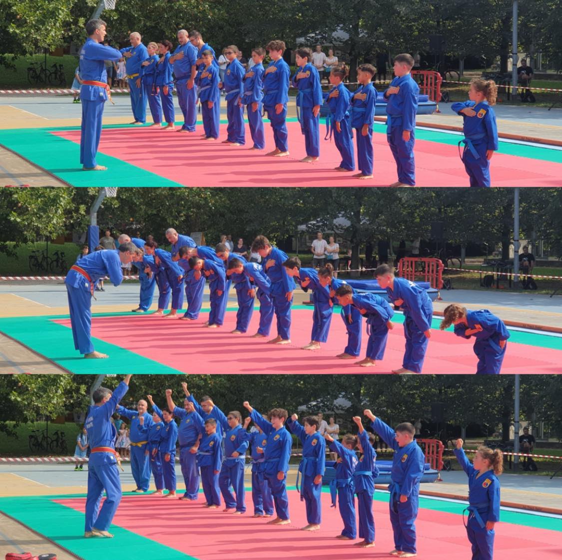 saluto vovinam